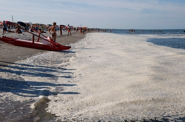 Mare caldo, mucillagini nell’Adriatico e meduse nel Tirreno: i timori per il turismo