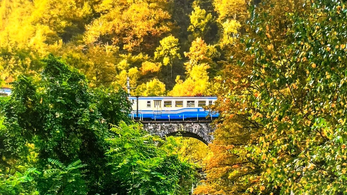 Treno del foliage della Ferrovia Vigezzina-Centovalli