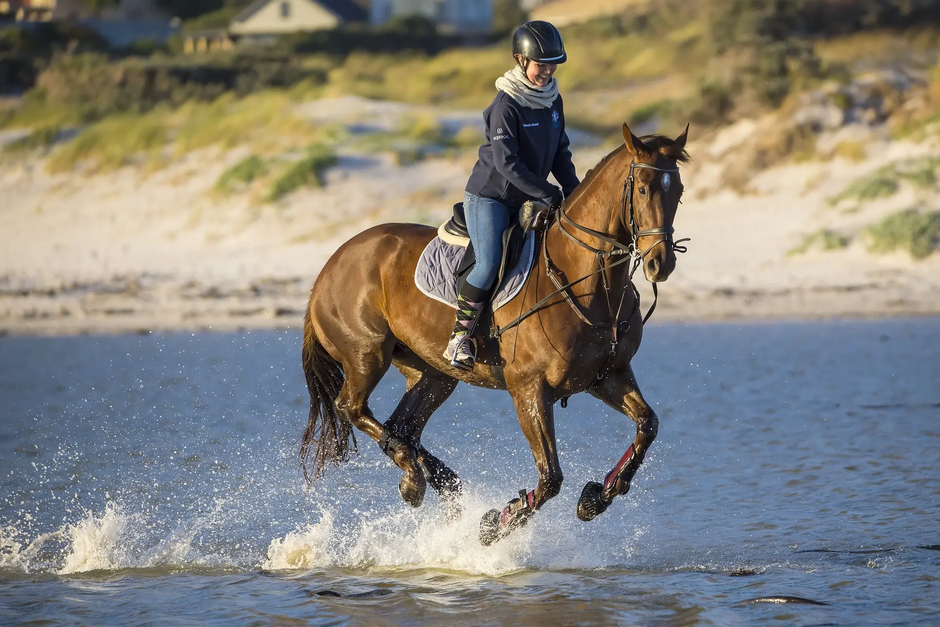 Turismo a cavallo nei parchi: 7.000 chilometri di itinerari equestri in tutta Italia