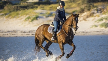 Turismo a cavallo nei parchi: 7.000 chilometri di itinerari equestri in tutta Italia