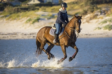 Turismo a cavallo nei parchi: 7.000 chilometri di itinerari equestri in tutta Italia