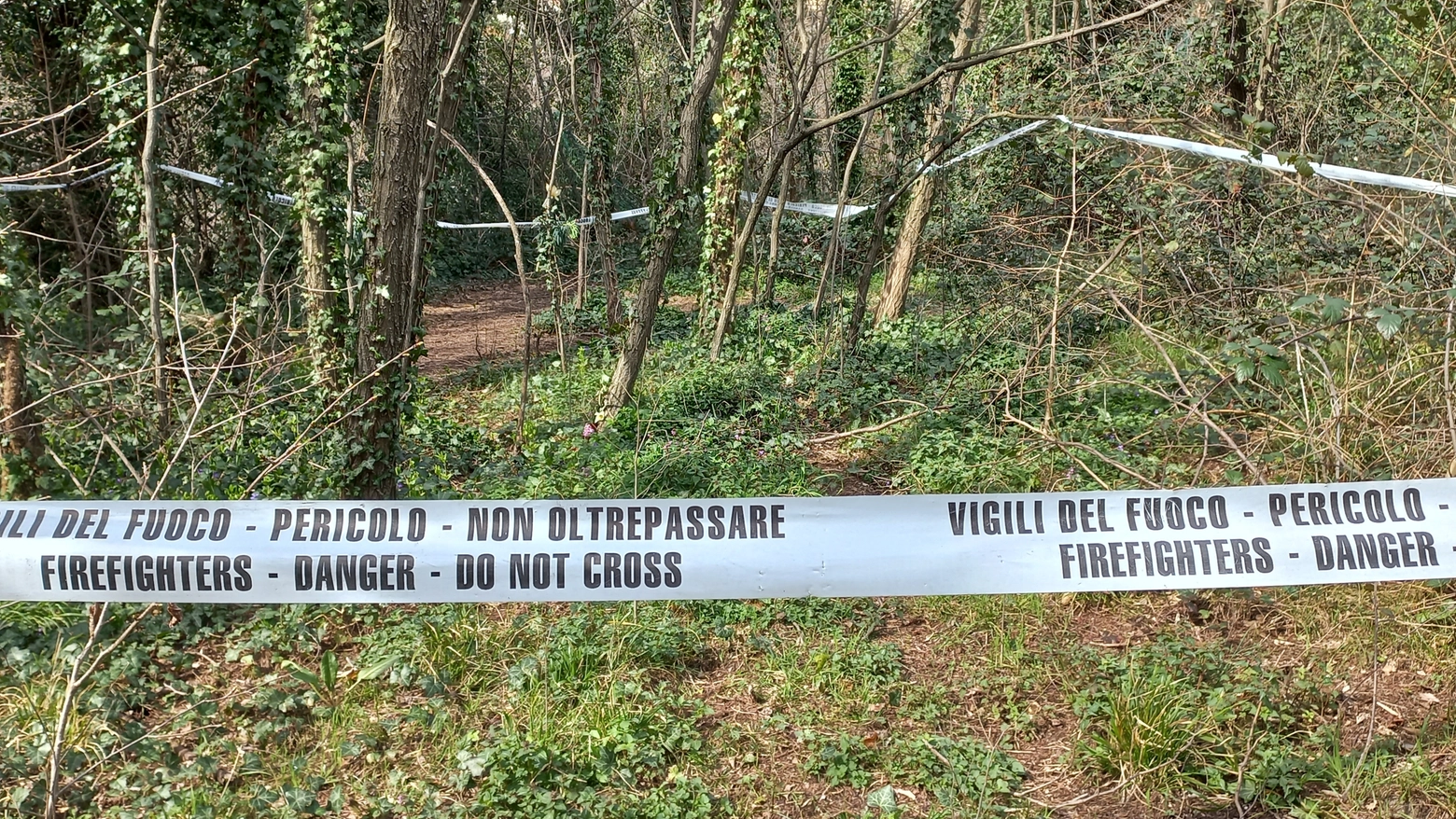Il parco di Trieste dove è stato ritrovato il cadavere di Liliana Resinovich