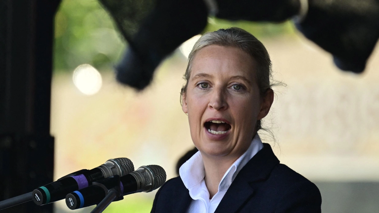 Afd, la leader Alice Weidel (foto Ansa)