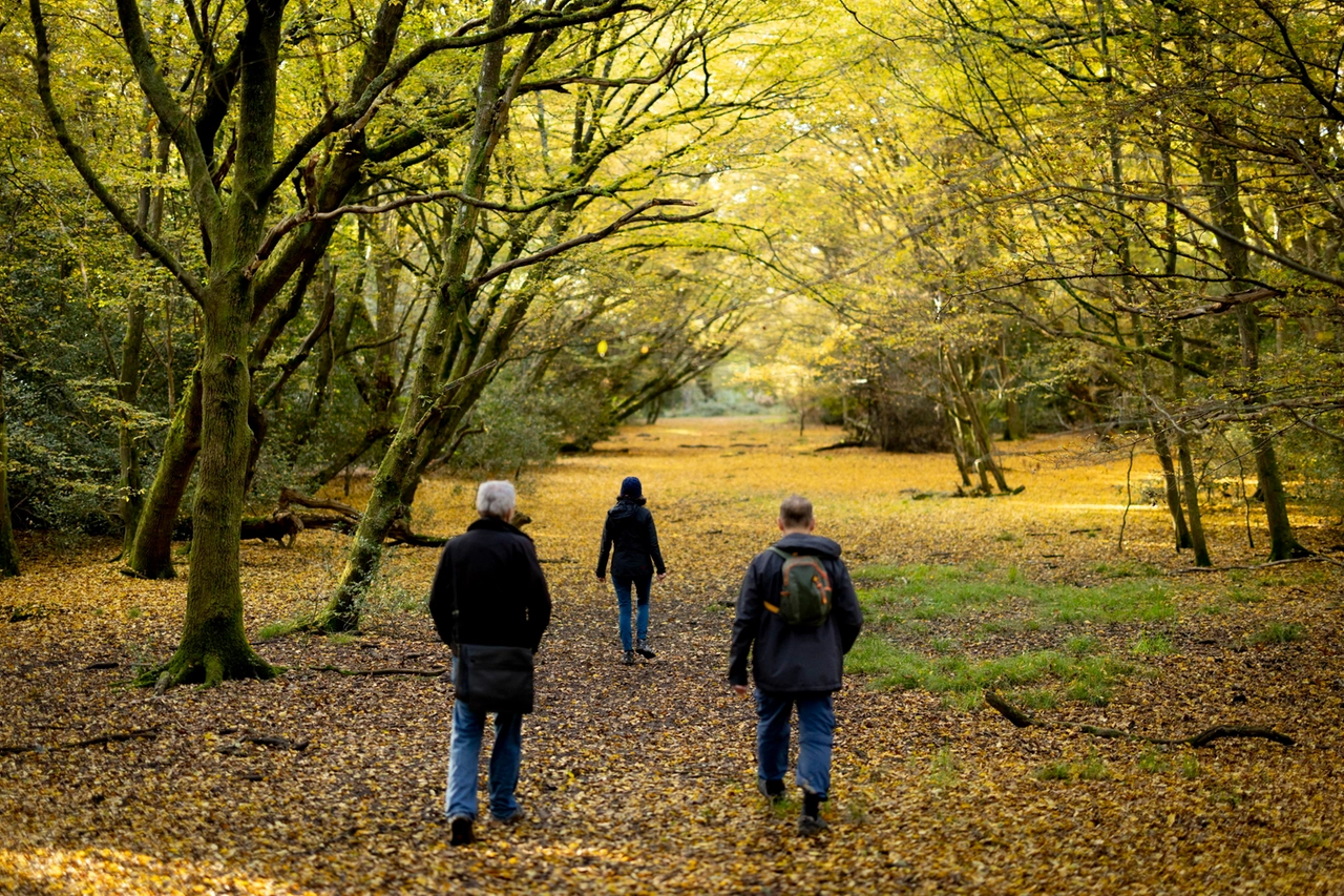 BRITAIN AUTUMN