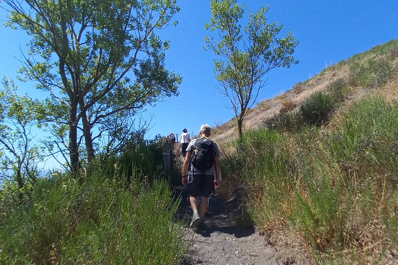 Trekking sul Vesuvio