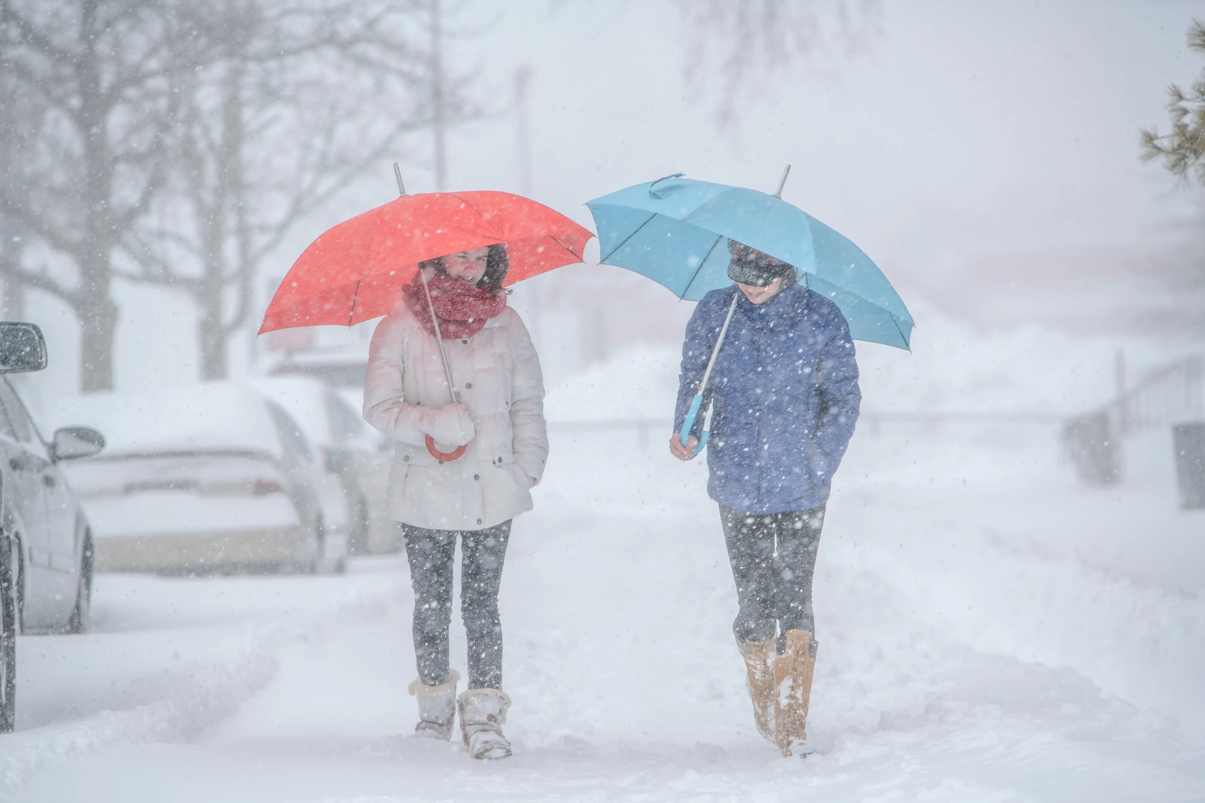 Previsioni meteo: bufere di neve a bassa quota. Natale? Probabile nuova irruzione fredda