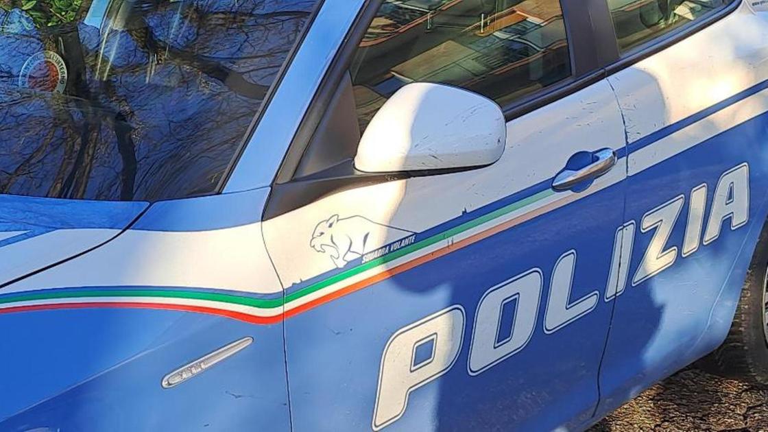 Torino, 72enne arrestato per tentato omicidio: accoltella donna per cane troppo rumoroso