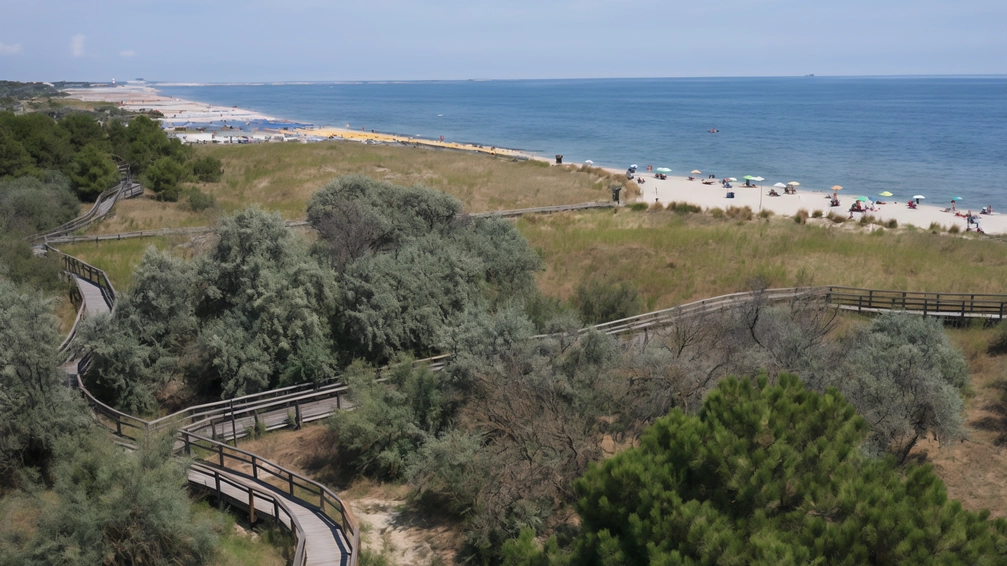 Il Parco Marittimo di Ravenna promuove la riqualificazione del litorale ravennate, valorizzando l'ecosistema costiero e favorendo un turismo sostenibile e inclusivo tutto l'anno. Attraverso percorsi ciclopedonali, aree di sosta e passerelle d'accesso alla spiaggia, il progetto mira a migliorare l'utilizzo degli spazi e delle risorse turistiche nel rispetto dell'ambiente naturale.