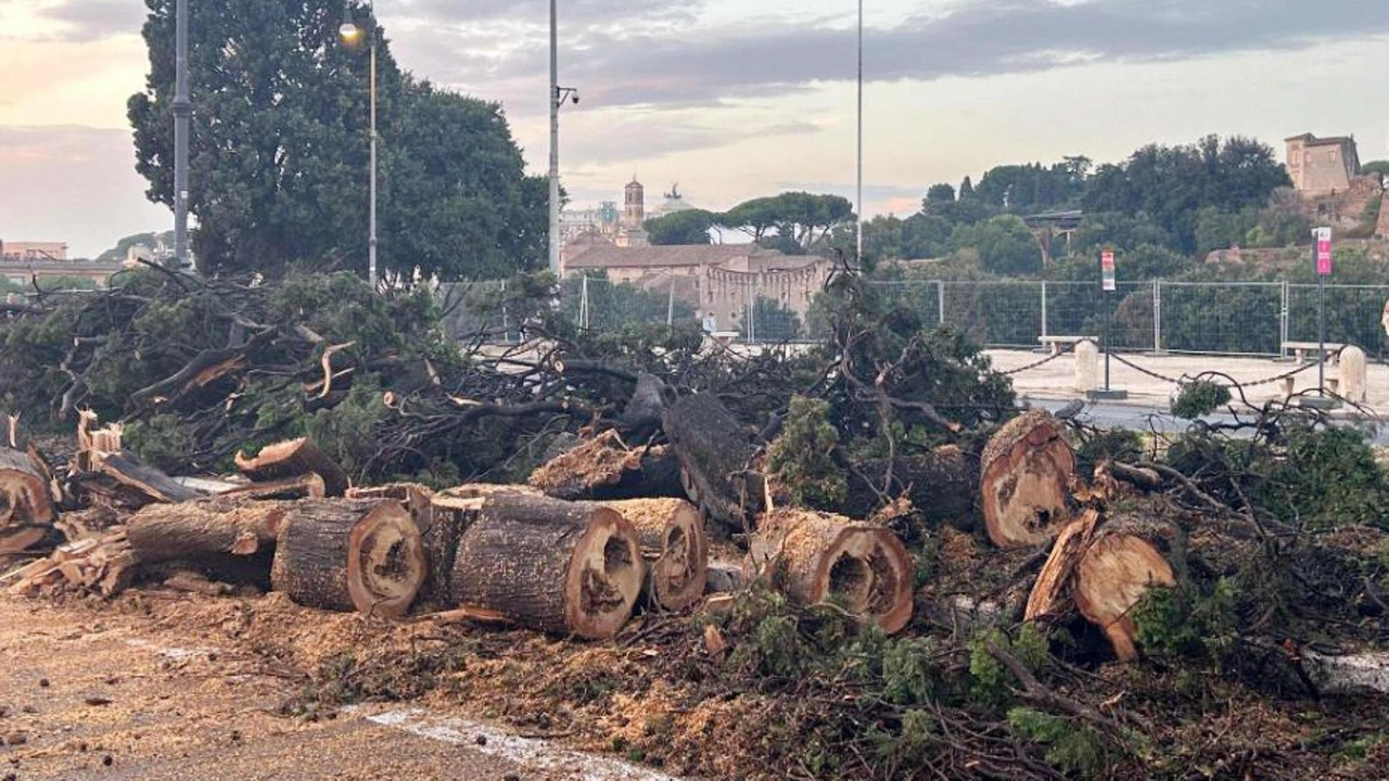 Pioggia, vento, tuoni, fulmini, bombe d’acqua: prima nella mattinata poi, in modo più consistente, nel pomeriggio, la capitale è stata...