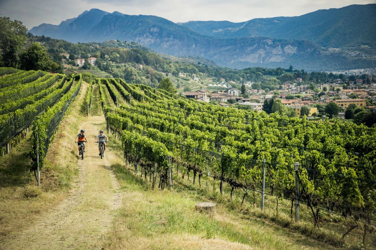 Piana del Laveggio (foto Jacques Perler)