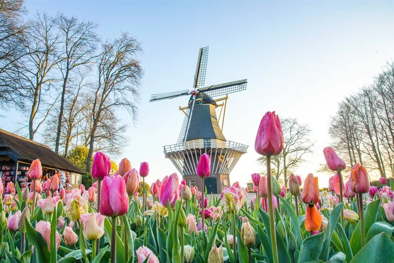 Il mulino Keukenhof