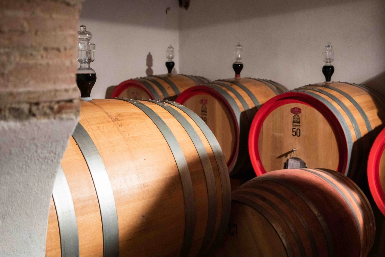 Le botti in cui invecchiano i vini