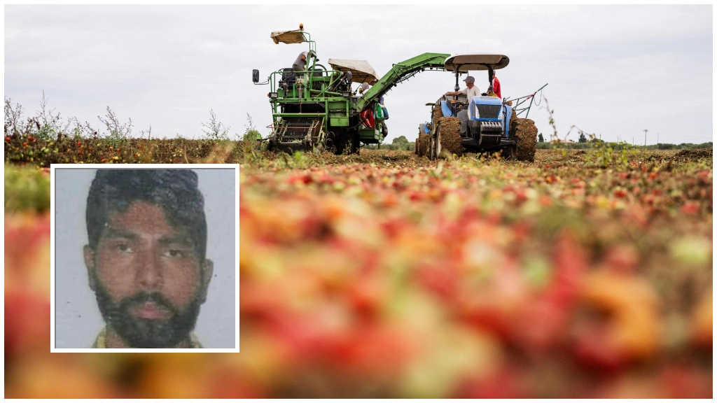 Lavoratori nei campi e nel riquadro una foto di Satnam Singh, il bracciante indiano morto a Latina