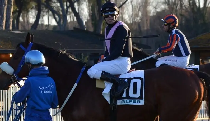 Ippodromo. Ha vinto il cavallo... Favorito. I contendenti montati da due fratelli