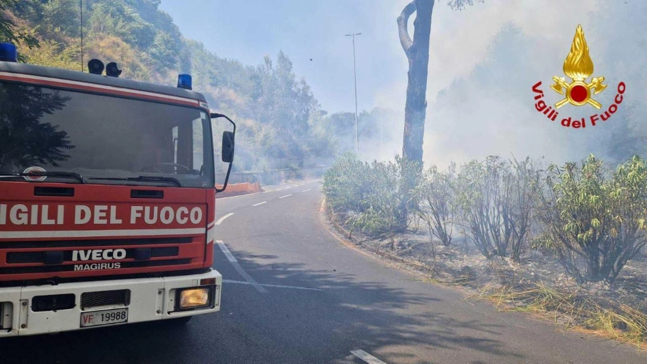 Fumo ha invaso corsie vicino alla Pisana, rogo ora circoscritto