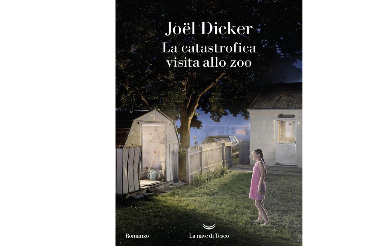 Il libro di Joel Dicker