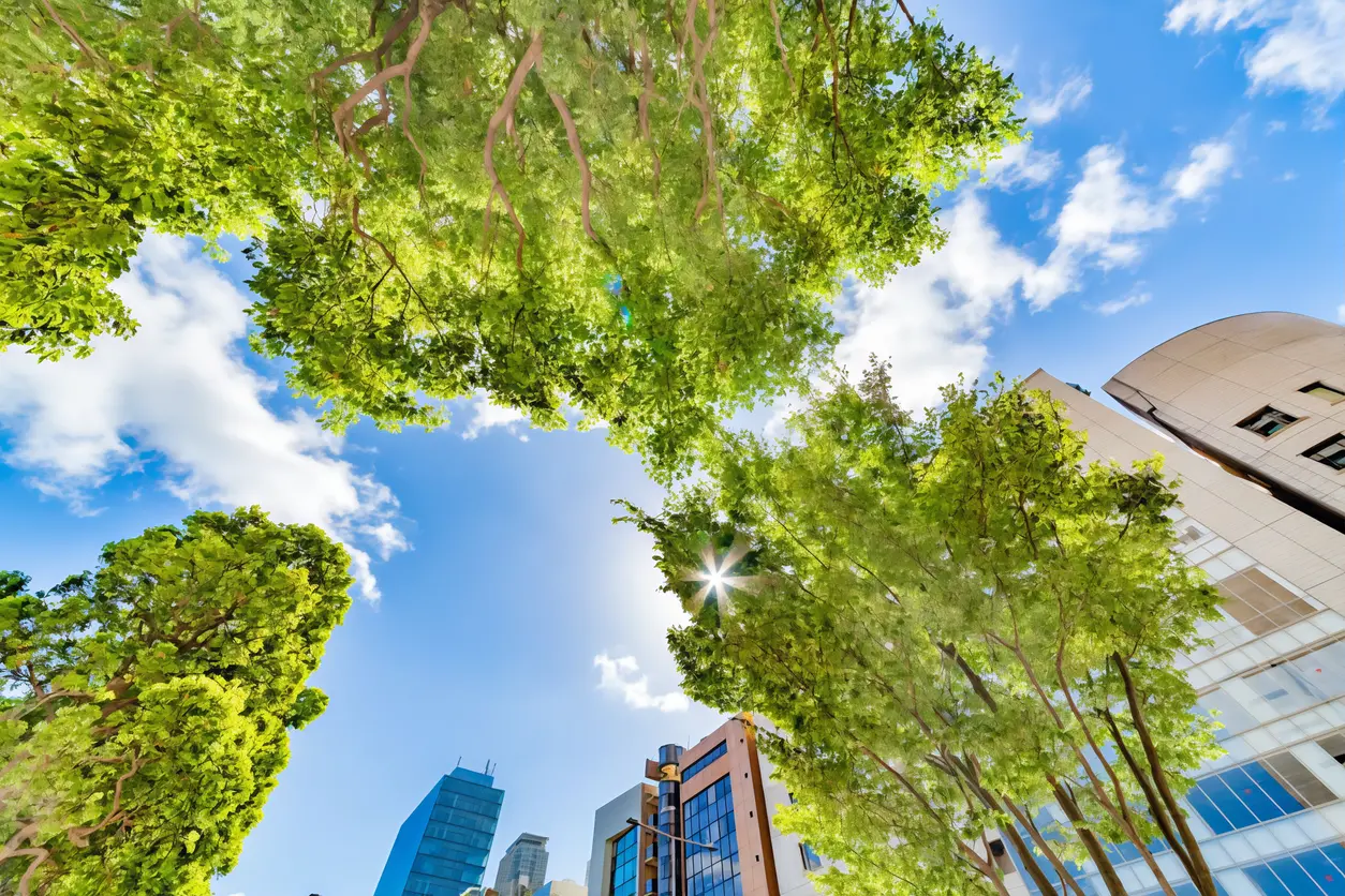 Con le ’Case green’ l’Europa colora di verde il proprio futuro