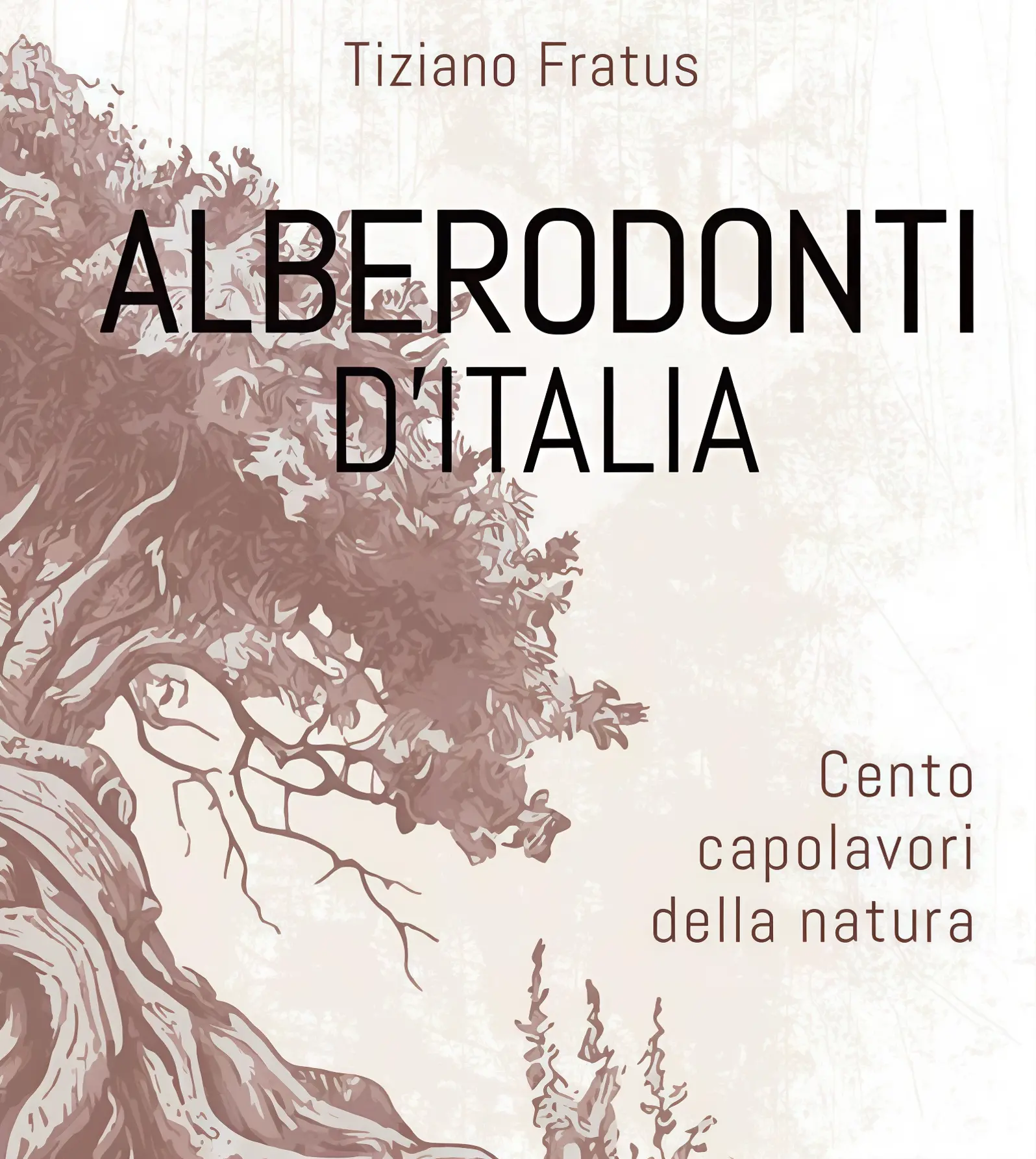 Alberi monumentali, vademecum spirituale