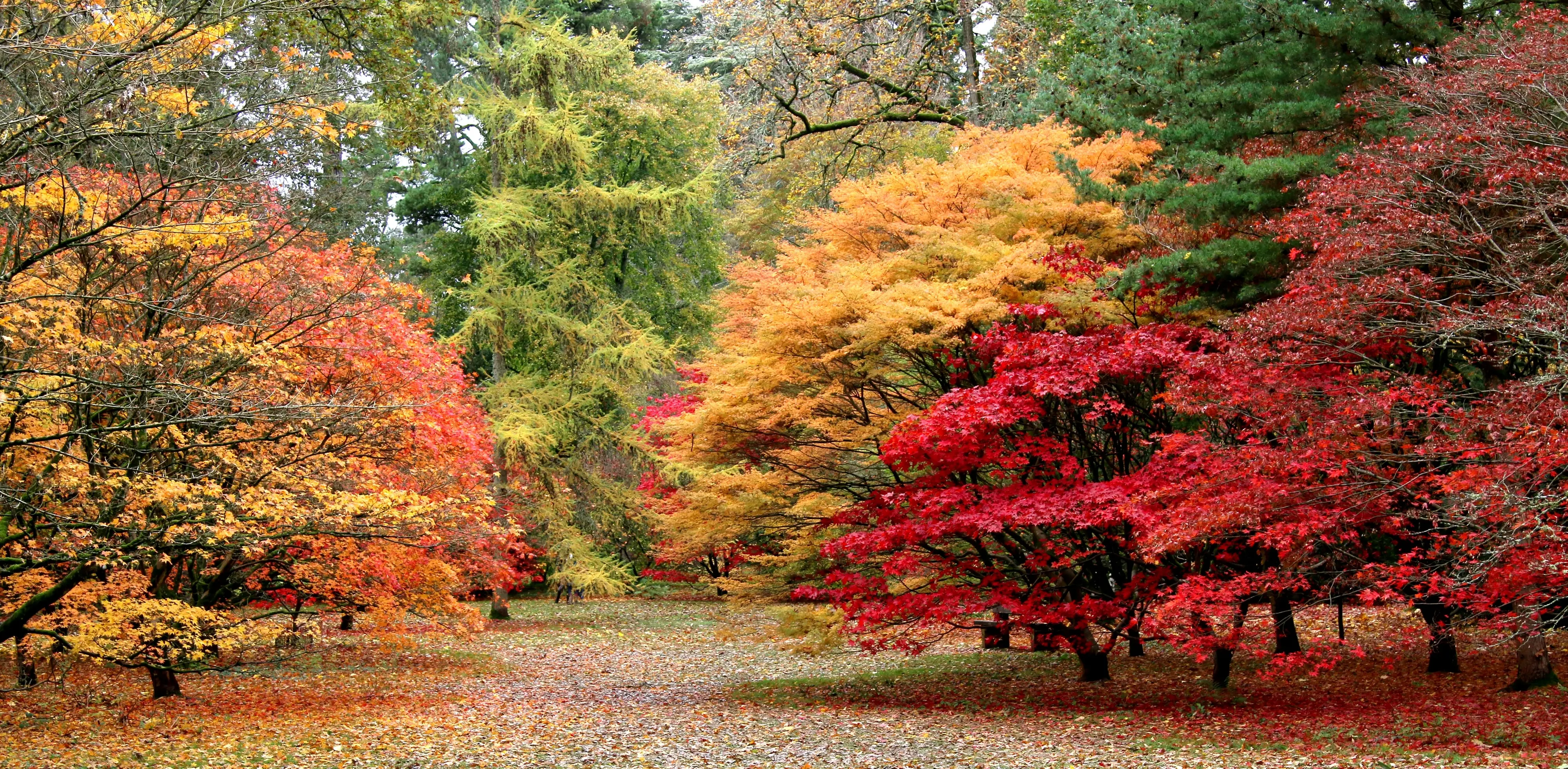 Foliage in camper: le migliori destinazioni per ammirare i colori d’autunno in Italia e nel mondo