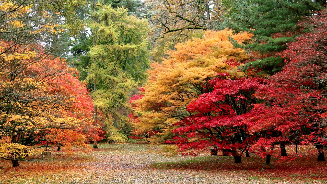 Foliage in camper: le migliori destinazioni per ammirare i colori d’autunno in Italia e nel mondo