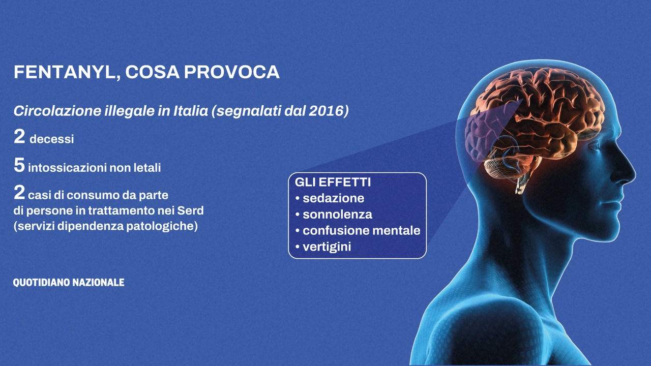 Fentanyl, i danni al cervello (Iss e Dipartimento politiche antidroga)