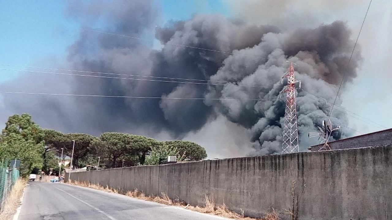 Maxi incendio di sterpaglie divampato in zona Casal Lumbroso a Roma (Ansa)