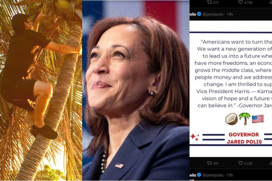 Kamala Harris e l'albero di cocco, perché spopolano emoji e meme