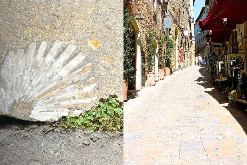 A Volterra conchiglia fossile nel pavimento lastricato in pietra della pittoresca via Porta dell'Arco