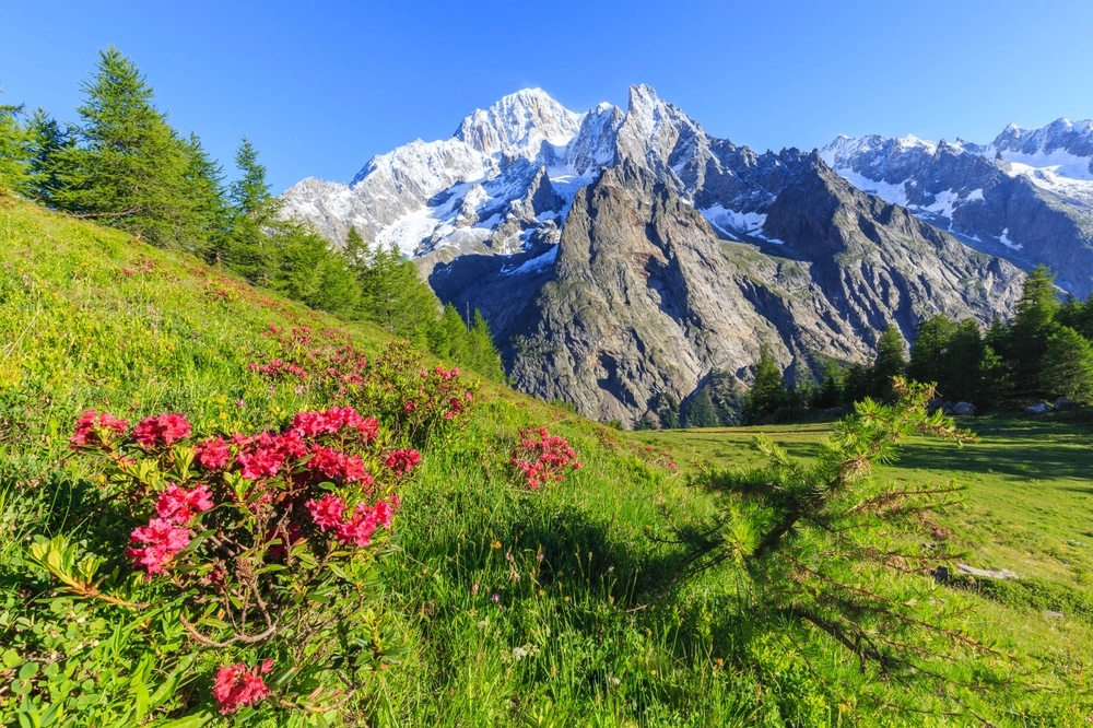 Valdigne, Val D'Aosta