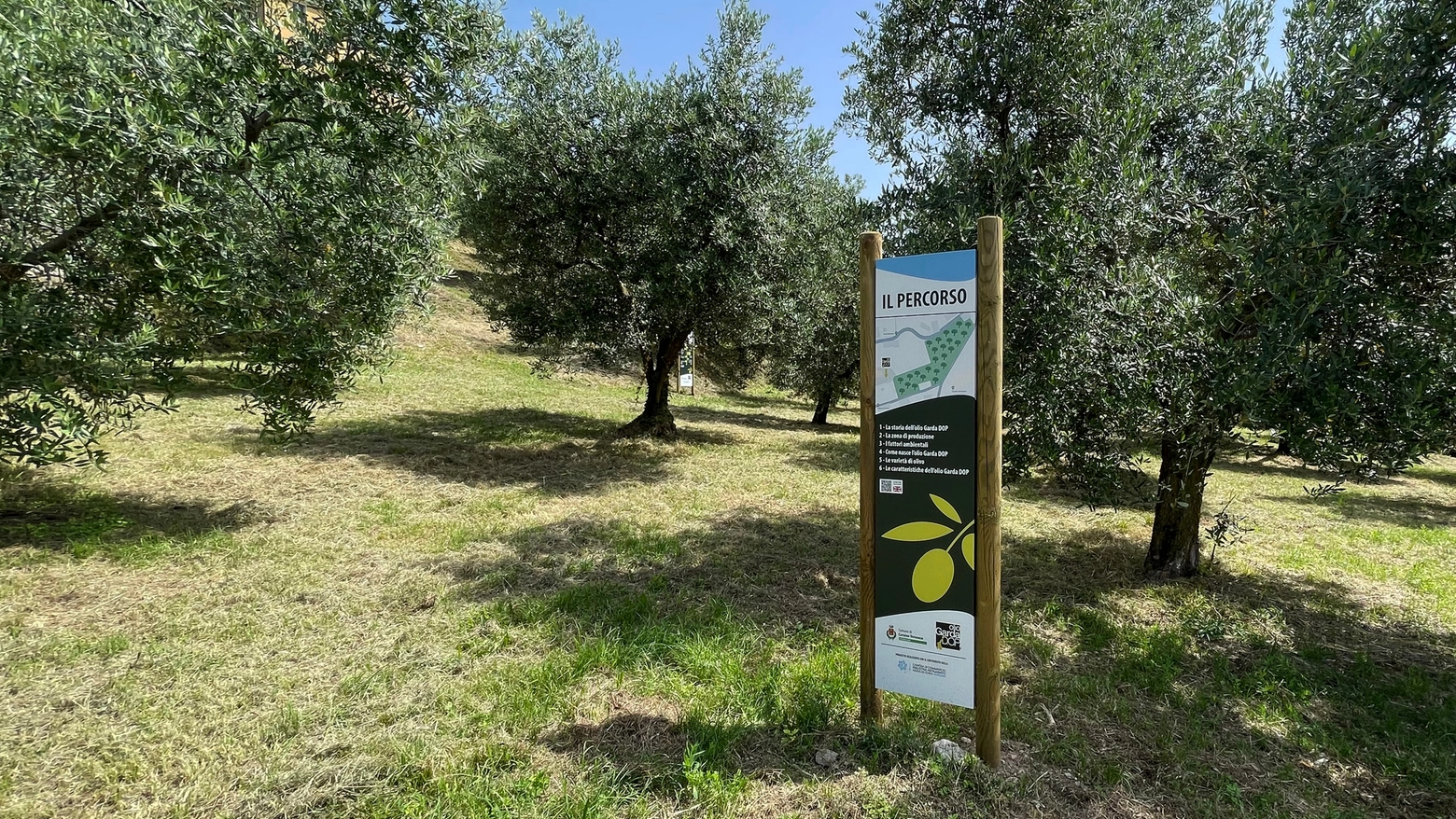 L’iniziativa del Comune e del Consorzio di tutela, messe a dimora 170 piante. Un’area verde unica nel suo genere aperta al pubblico per attività formative e informative, con visite guidate e degustazioni