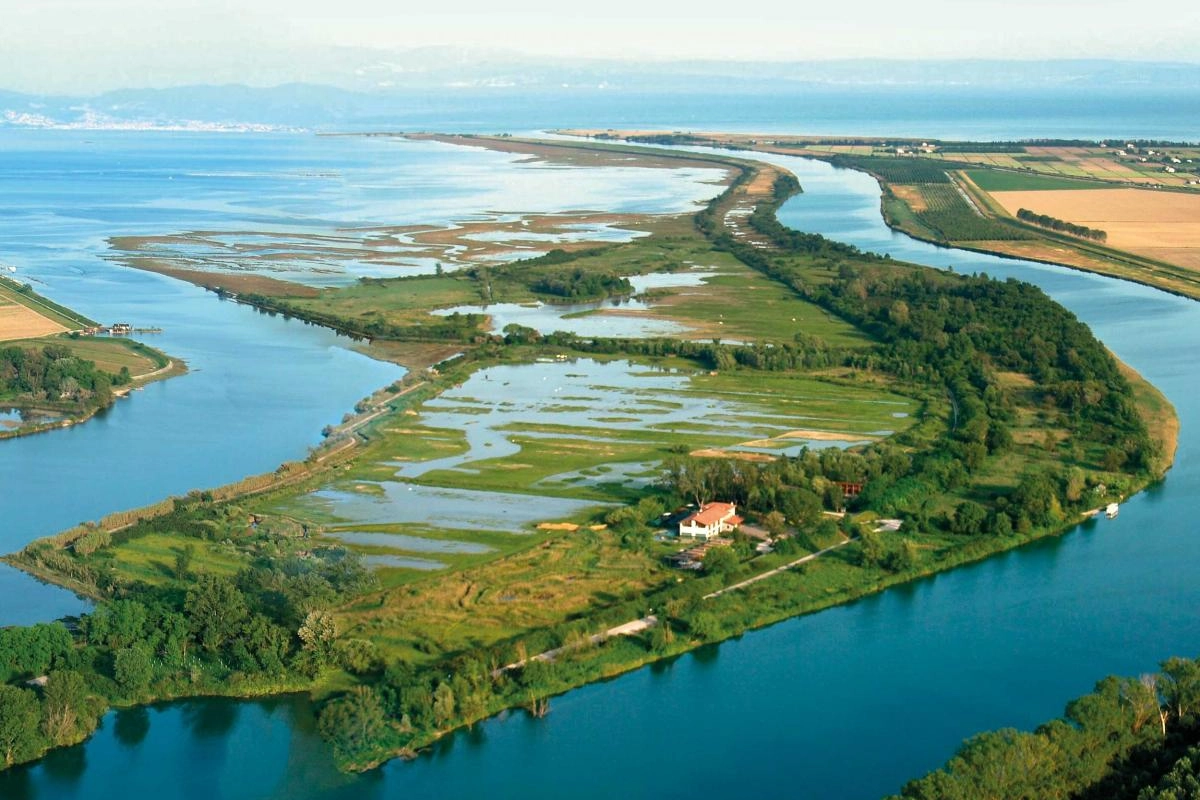 L'Oasi naturale di Isola della Cona, dove vivono numerose specie di uccelli d'acqua dolce