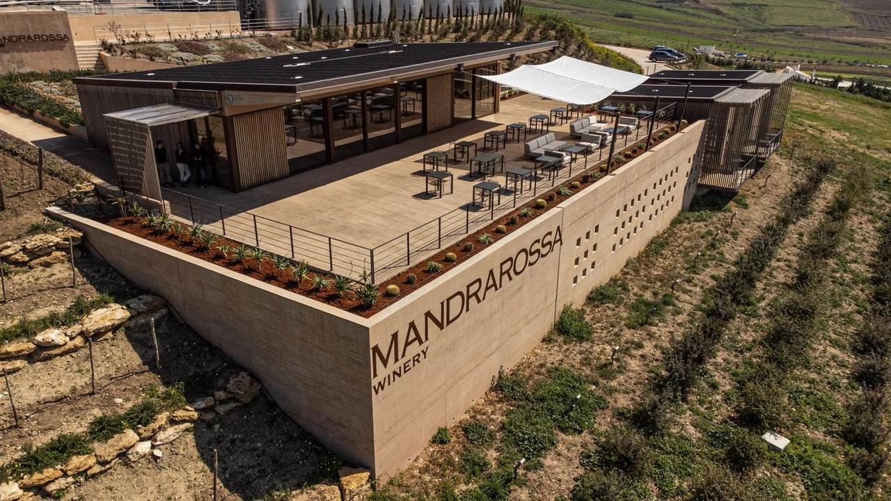 La winery Mandrarossa