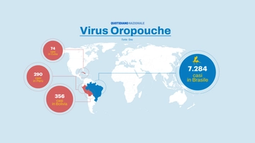 Virus Oropouche, in Italia ci sono rischi? Il ‘moscerino’ vettore e le risposte dell’esperto