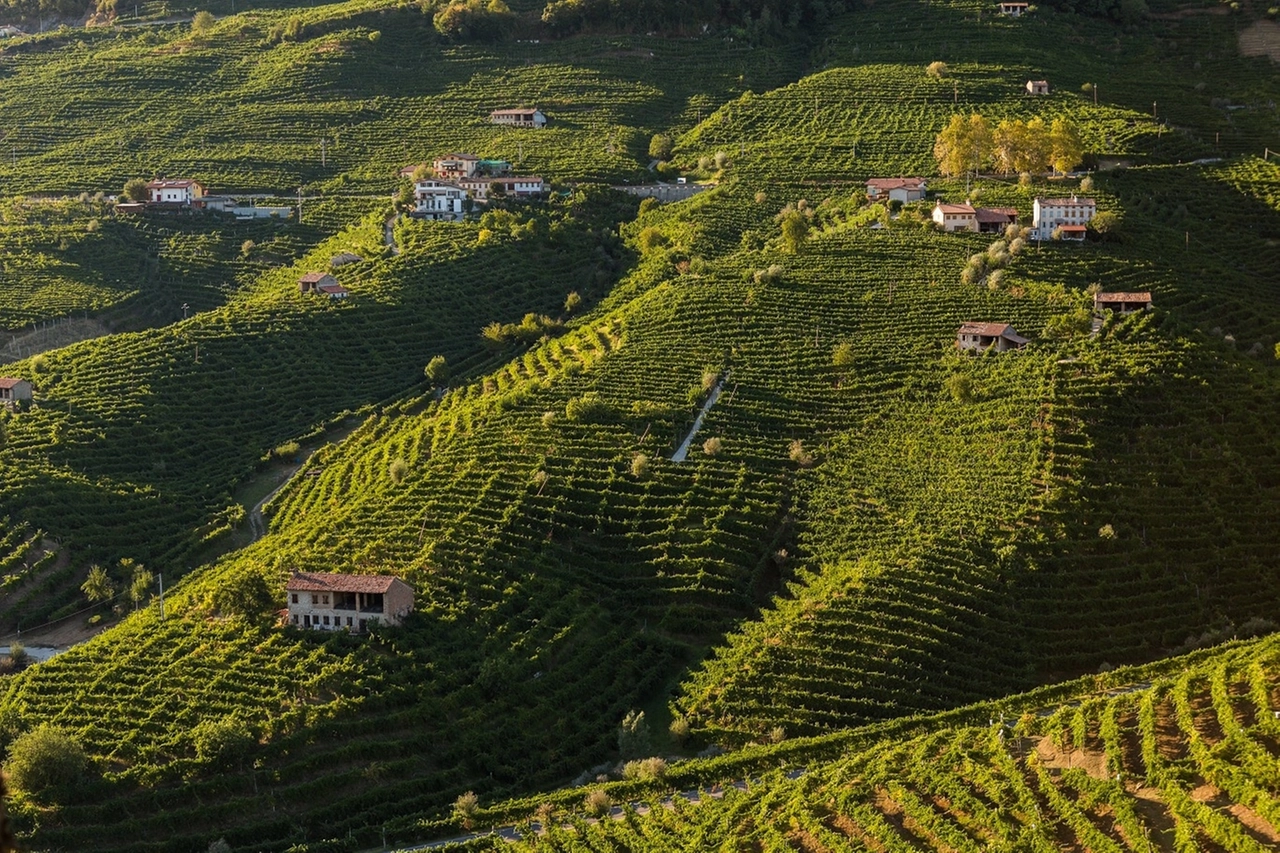 Le colline del Prosecco