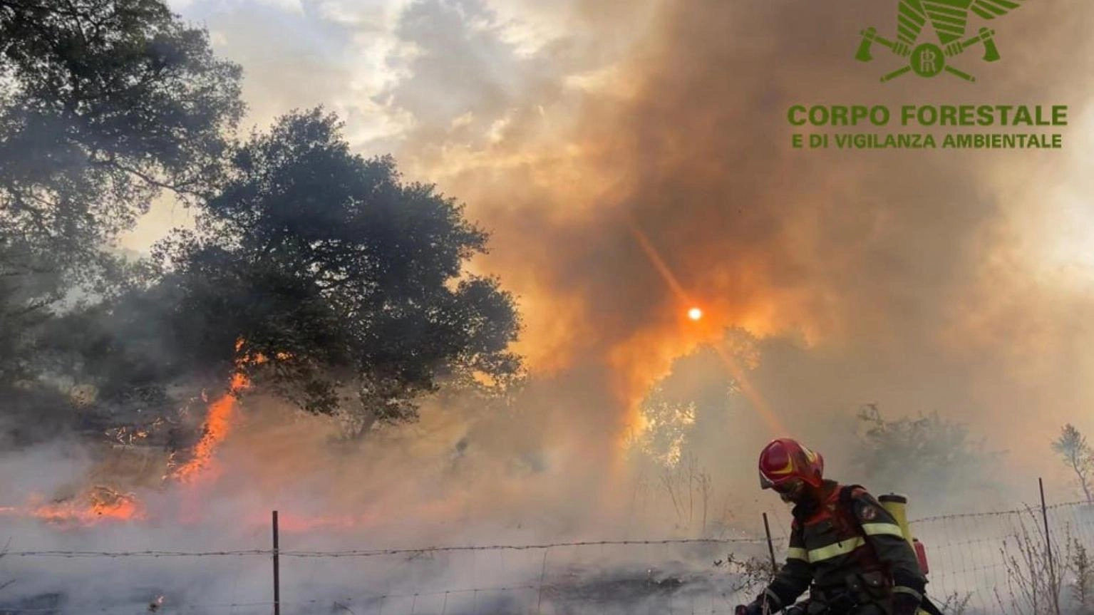 Incendio nel Nuorese, 700 ettari in fumo