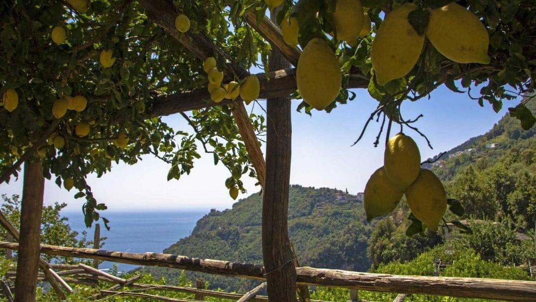 Il Sentiero dei Limoni in Costiera Amalfitana