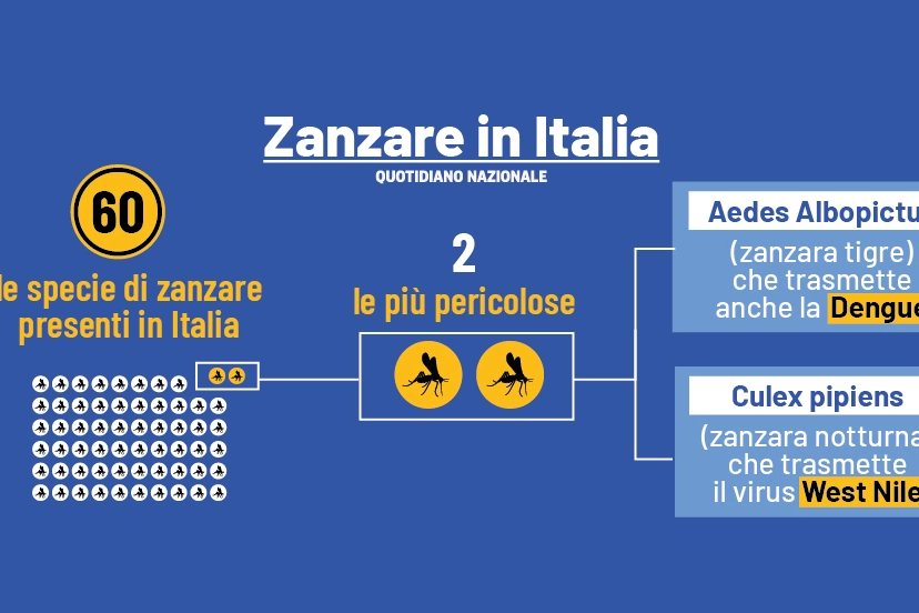 Zanzare, ecco quali sono le specie più pericolose in Italia