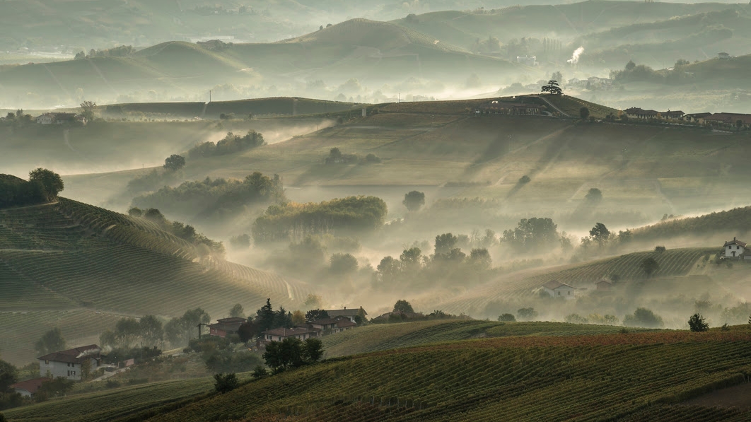 Ad Alba nasce un museo interattivo, ad Asti una mostra racconta “oltre 50 sfumature di verde” del territorio in sessanta fotografie