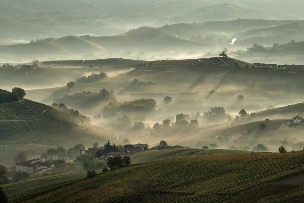 Langhe-Roero e Monferrato, i Paesaggi Vitivinicoli del Piemonte celebrano i 10 anni di Patrimonio Unesco