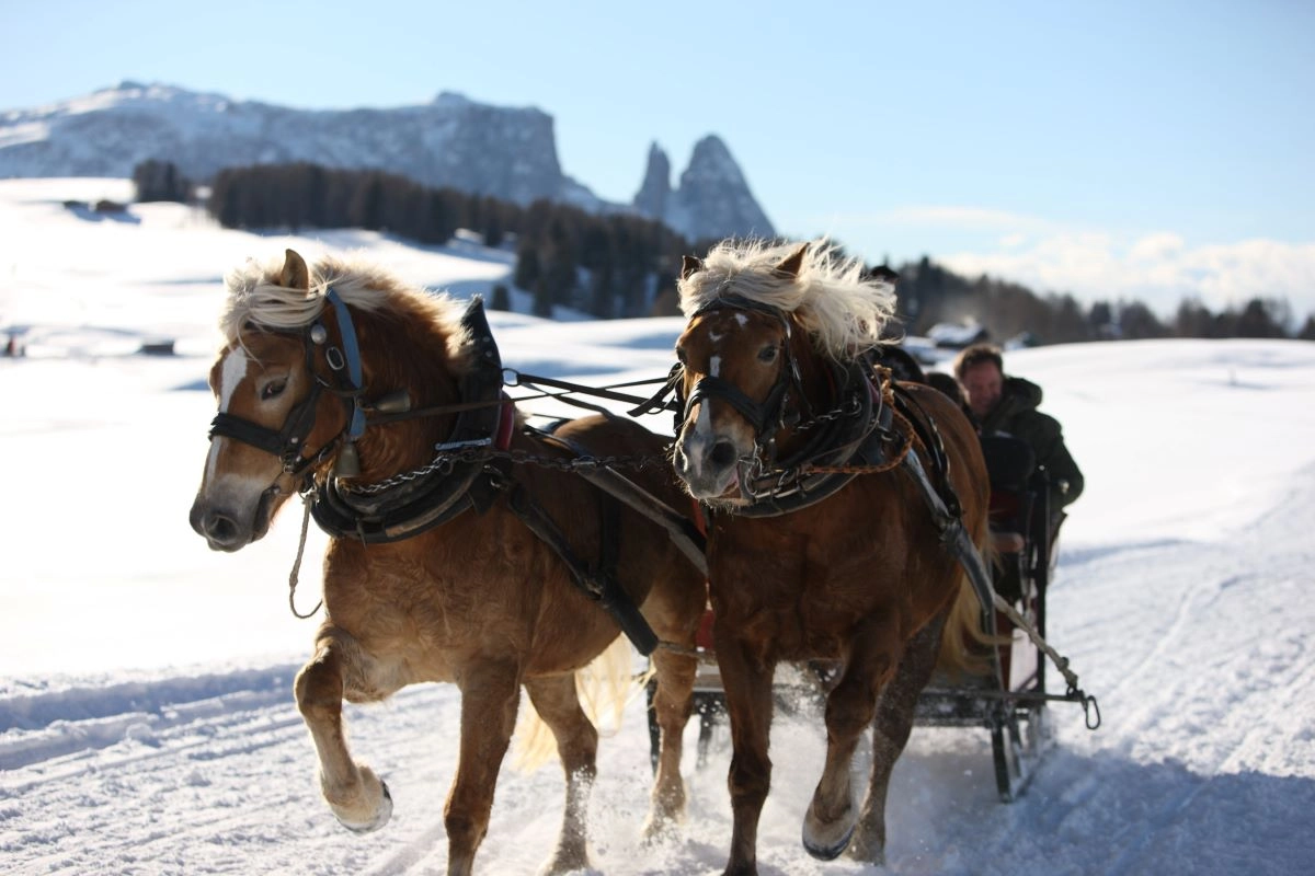 CAPODANNO SULLA NEVE - Gita in slitta dolomiti