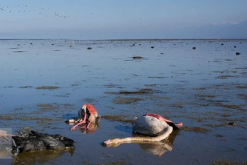 Così il lago più grande del mondo sta scomparendo più velocemente del previsto