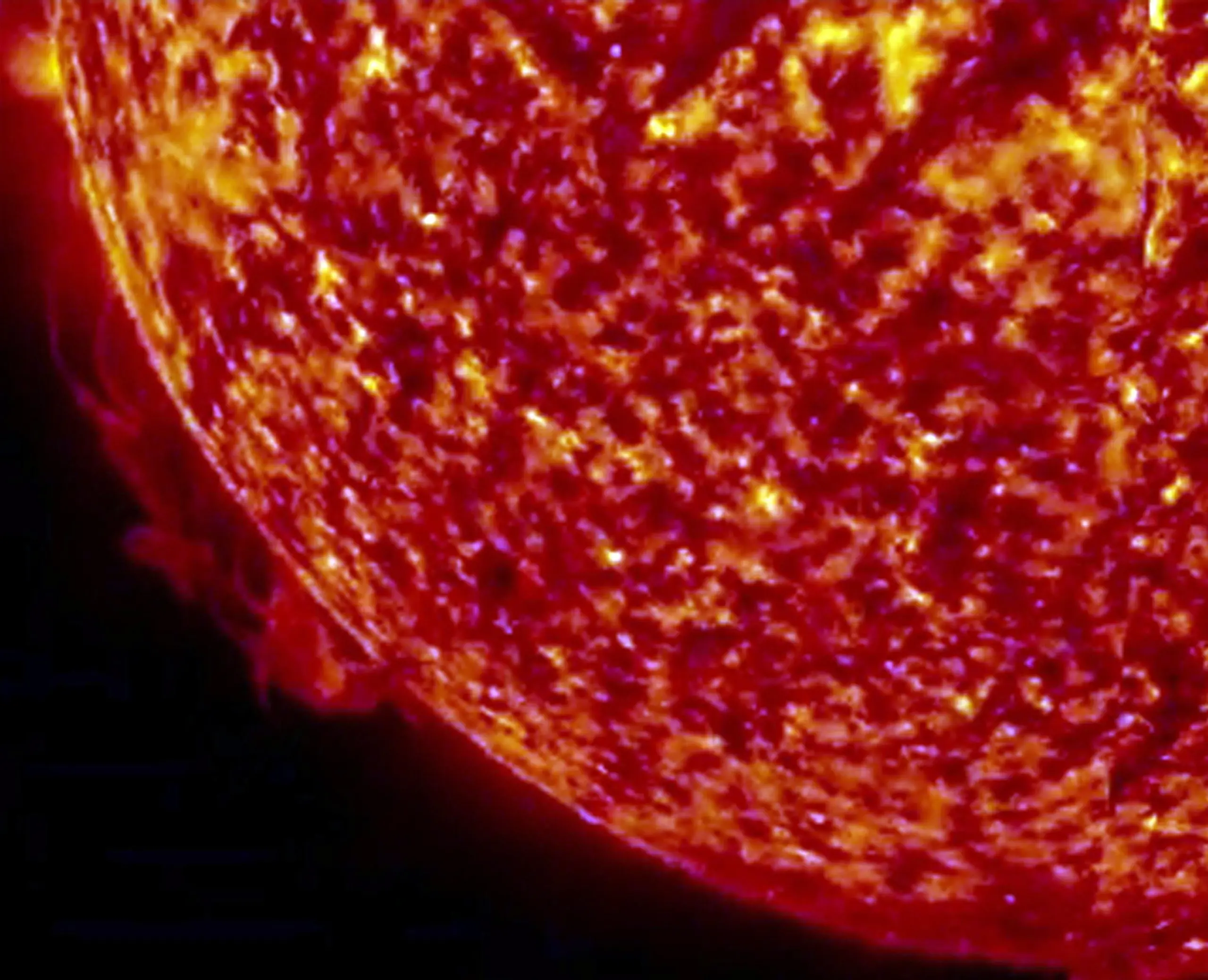 Allarme tempesta solare “severa” sulla Terra nel weekend. Aurora boreale? Occhi al cielo