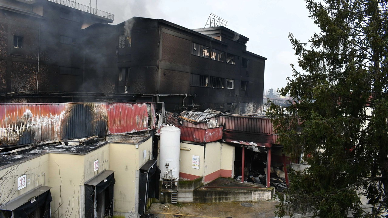 reggio incendio