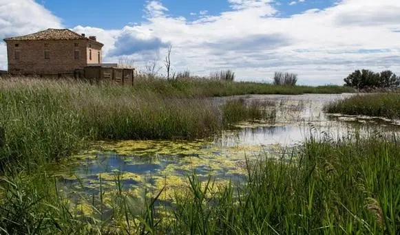 Riserva della Sentina. Camminata ’rosa’ nell’oasi naturale