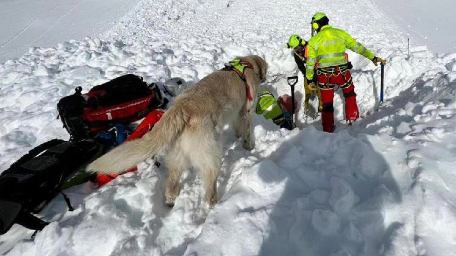 Valanga sul Castore, nel massiccio del Rosa, alpinisti coinvolti