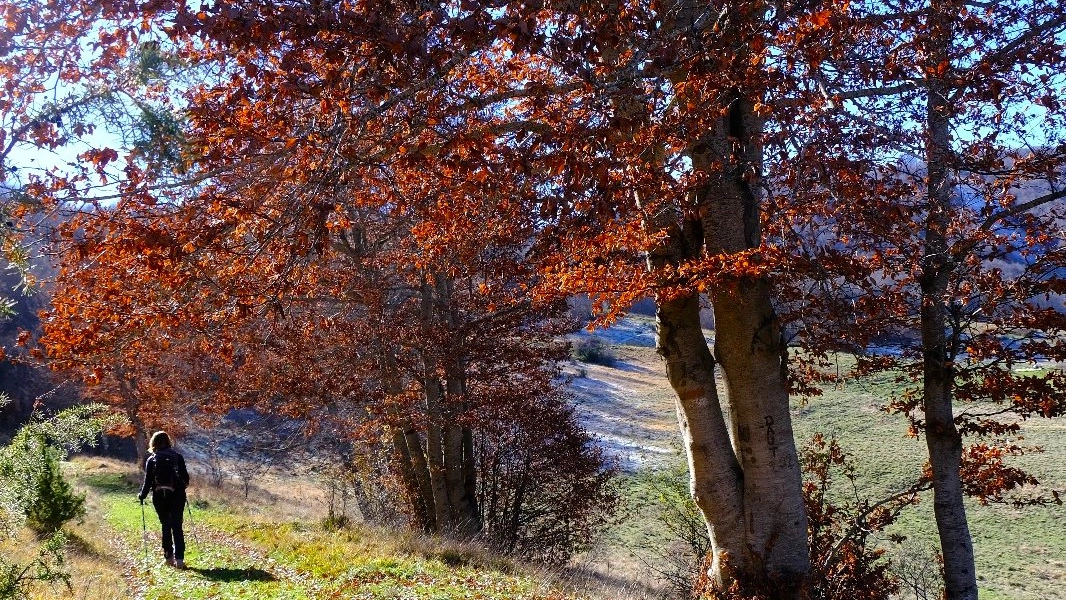 Le montagne del cuore verde d'Italia sono scrigni di tesori naturalistici e culturali, da scoprire (anche) in queste settimana autunnali