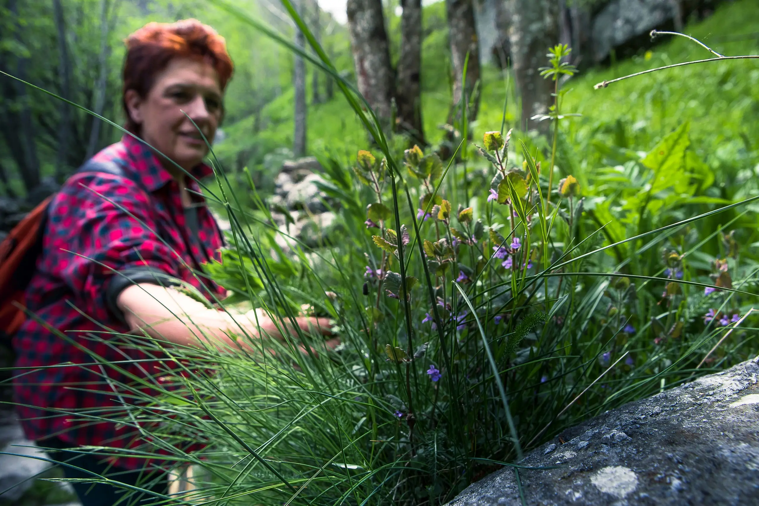 Mariangela Susigan, la cucina vegetale è rock e selvatica