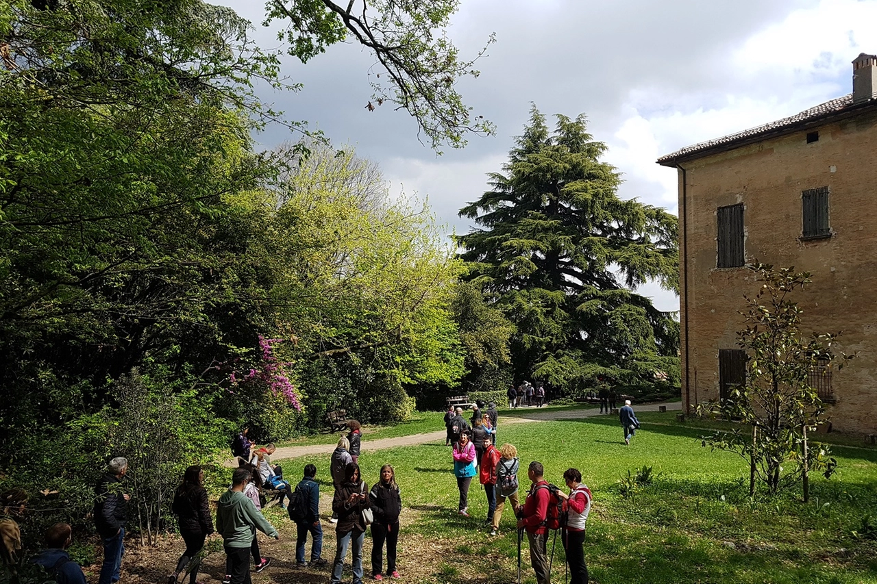 Alberi in Cammino - Cedro Parco Villa Ghigi - Bologna