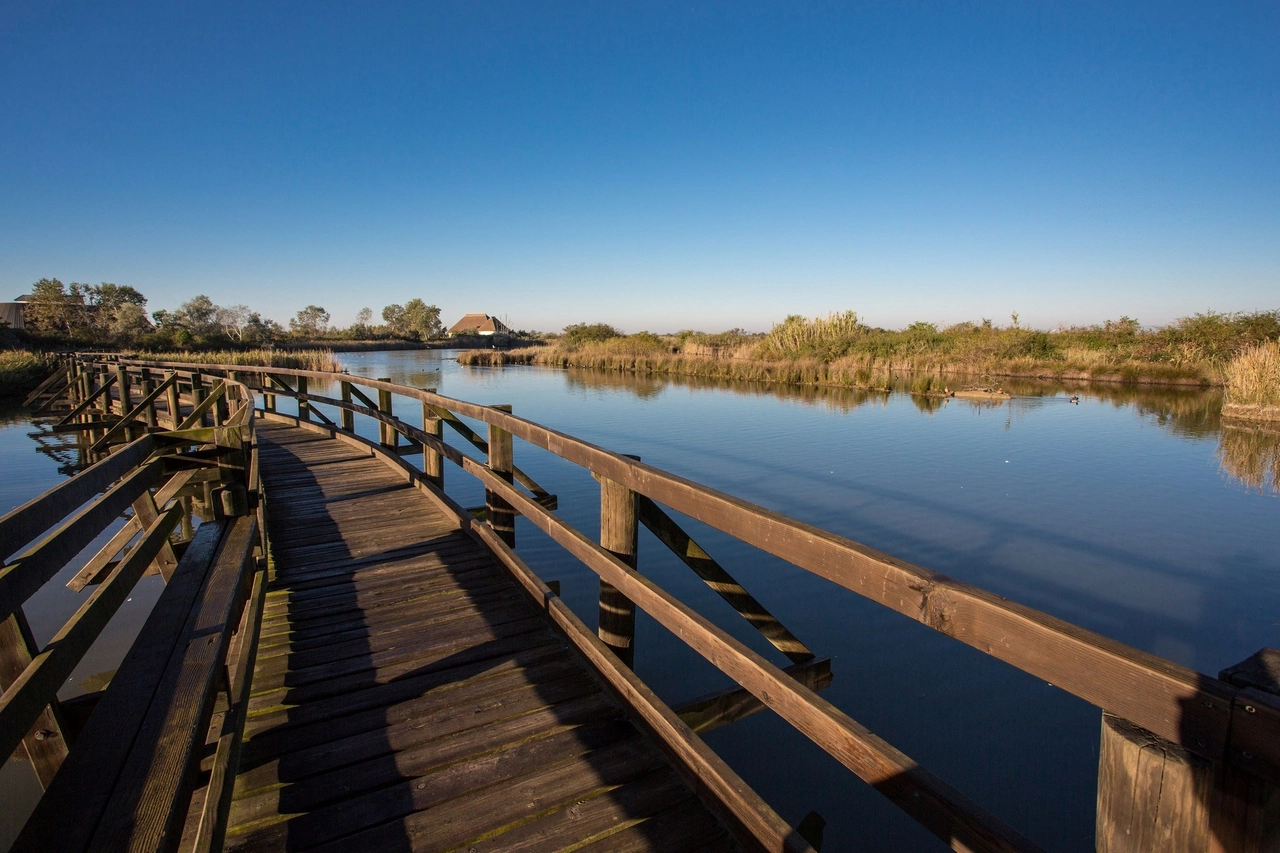 Riserva Naturale della Valle Canal Novo, Marano Lagunare - Ph Massimo Crivellari