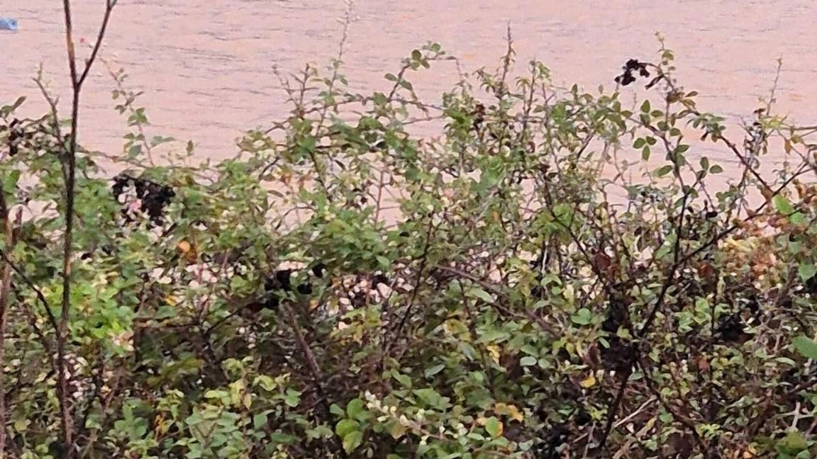 Maltempo nel catanzarese, esonda un torrente e isola paese